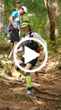 BIB:  <button type="button" onclick="openModal(27584061)" class="btn btn-primary btn-sm float-right" data-toggle="modal" data-target=".modal-high-quality">
                <i class="fa fa-download"></i> Download
                </button>